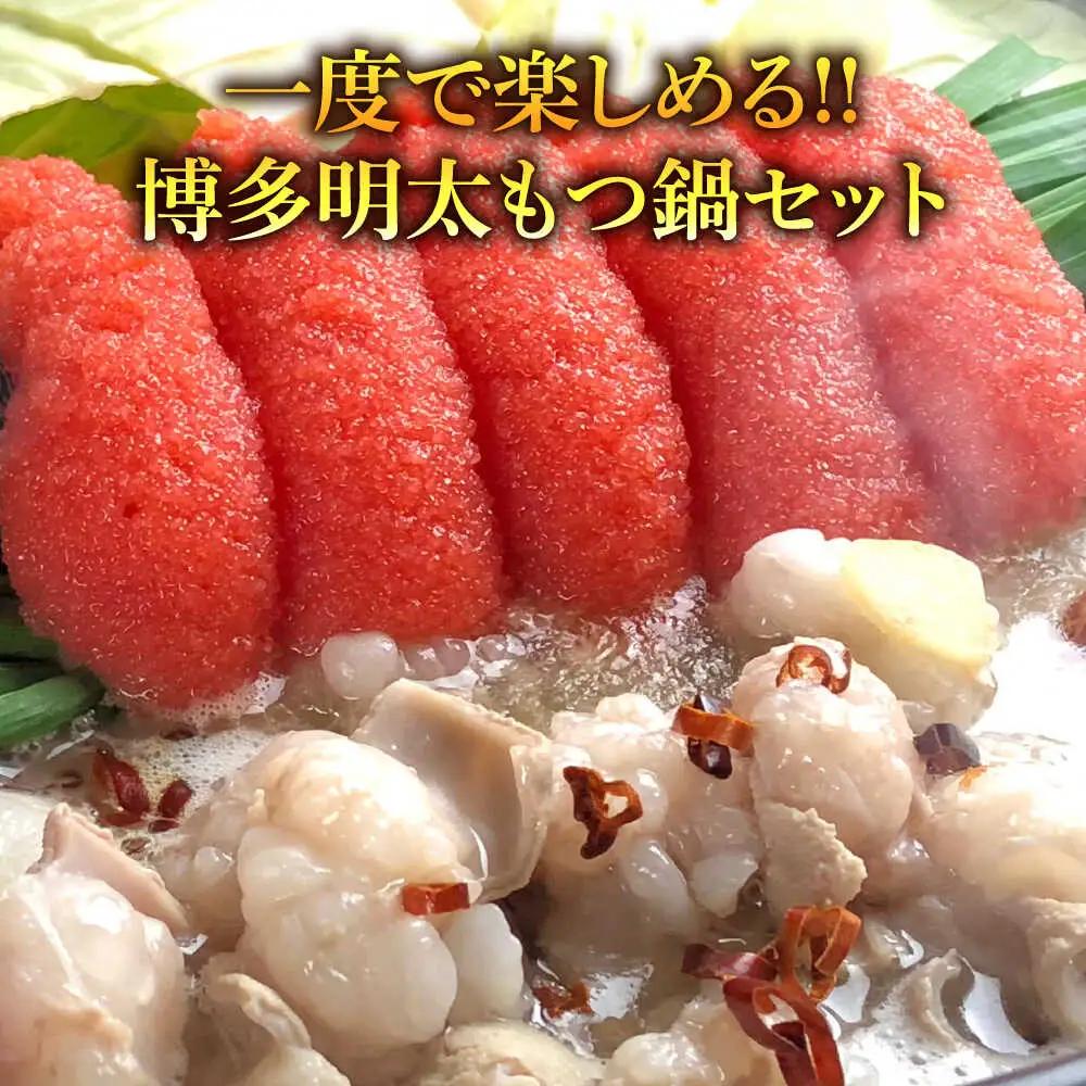 博多 明太醤油もつ鍋セット 4-6人前[BGAF011] めんたいチューブ