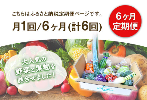 6ヶ月定期便 旬の新鮮野菜・果物詰合せセット(計6回お届け) 8-12品目  道の駅竜北《お申込み月の翌月から出荷開始》---sh_cmitiysiatei_21_98000_mo6num1---