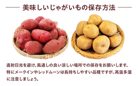 毎日の食卓の味方！玉ねぎ 5kg じゃがいも 5kg 常備野菜セット メークイン レッドムーン （5月下旬から6月頃発送予定） 大阪府高槻市/高槻あぐり[AOCS025]