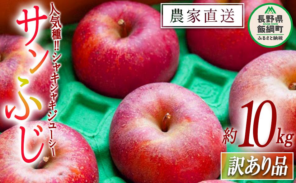 
                  りんご サンふじ 訳あり 10kg ファームたんぽぽ 沖縄県への配送不可 2025年12月上旬頃から2026年1月中旬頃まで順次発送予定 令和7年度収穫分 信州 果物 フルーツ リンゴ 林檎 長野 予約 農家直送 長野県 飯綱町 [0554]
                
