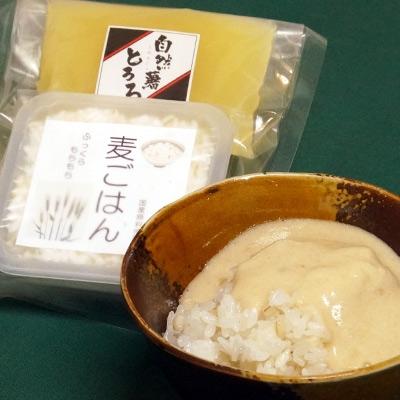 ふるさと納税 那珂川市 那珂川市産自然薯使用　自然薯麦とろセット(4人前)