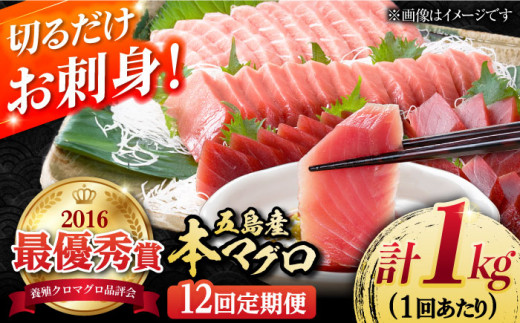 【全12回定期便】本マグロ (養殖) ブロック 詰合せ 計12kg (1kg×12回) 【奥浦海鮮直売所】 [PCL011] 柵 刺身 マグロ まぐろ 鮪 さしみ とろ トロ 刺し身 冷凍 魚 鮮魚