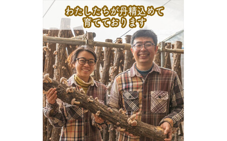 スイスで加工品を学んだ農家が手間暇かけて手づくりした『しいたけとたまねぎのなんでもソース』≪レギュラーサイズ≫18本セット【 家庭用 自宅用 贈答品 贈答用 ギフト お取り寄せ お中元 お歳暮 贈り物