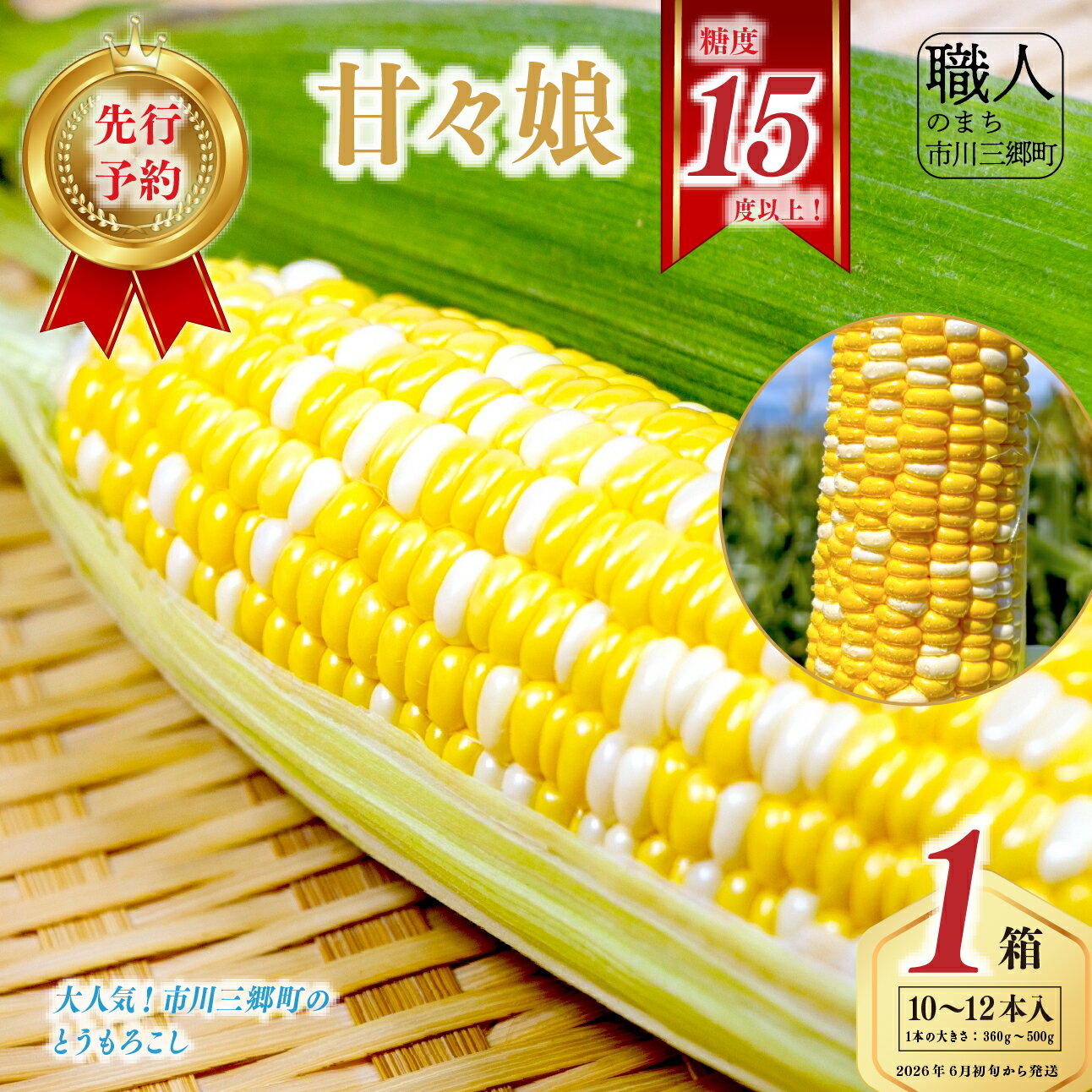 【ふるさと納税】 2026年 6月初旬から発送 市川三郷町産 とうもろこし 甘々娘 10〜12本入り 箱 株式会社 ICHI 市川三郷町産 トウモロコシ もろこし コーン スイートコーン 甘々娘 人気 野菜 ランキング 旬 季節 採れたて 朝採り[5839-2268]