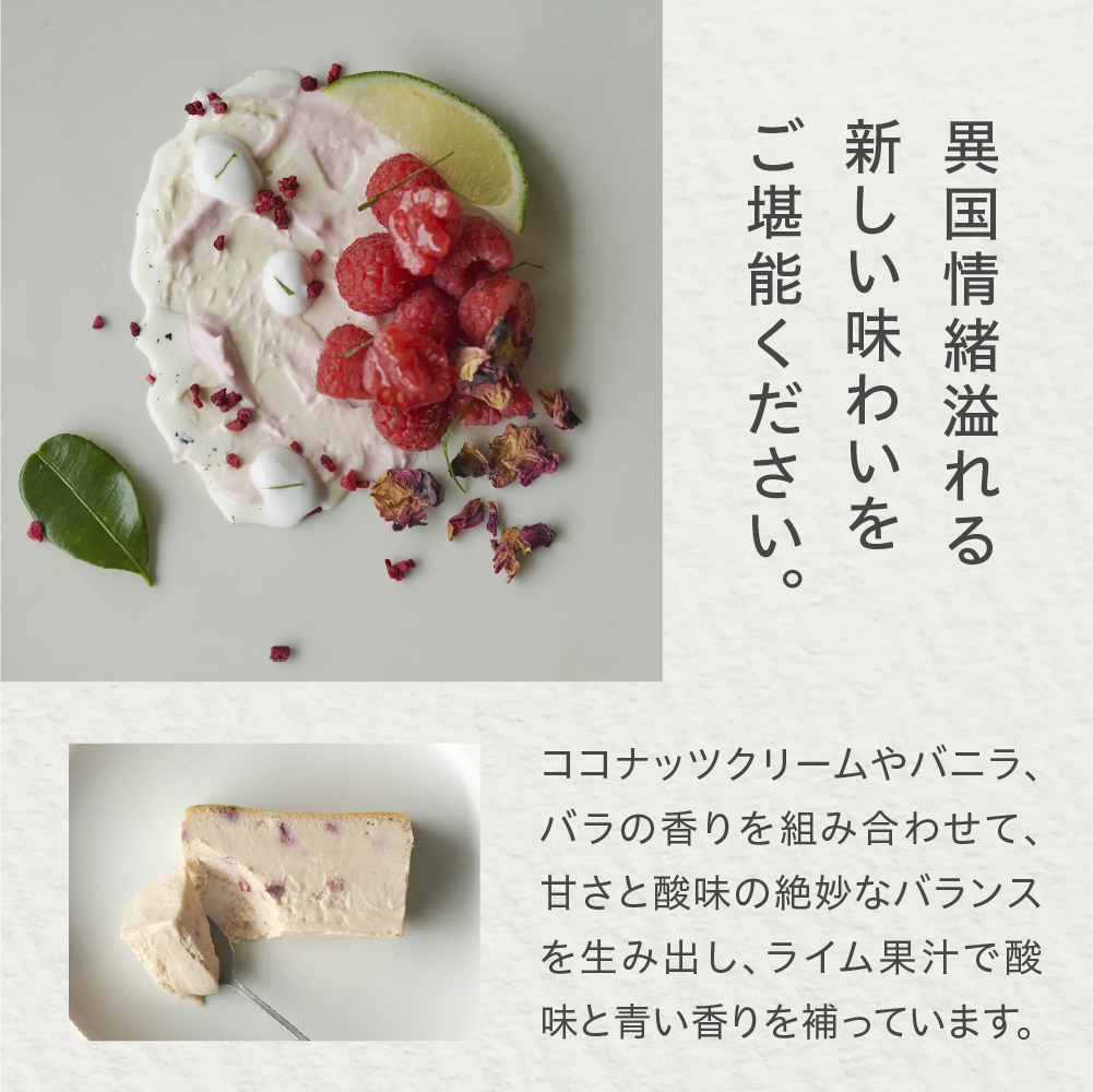 Mr. CHEESECAKE Raspberry Lime / Bag (ミスターチーズケーキ ラズベリーライム/バッグ)
