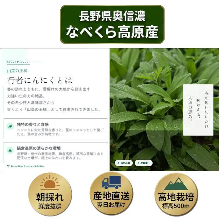 【令和9年産先行予約】行者にんにく 忍 500ｇ入り　1箱(70枚～75枚)《出荷時期：2027年5月中旬頃〜》株式会社ForestDoor (Ce-012)