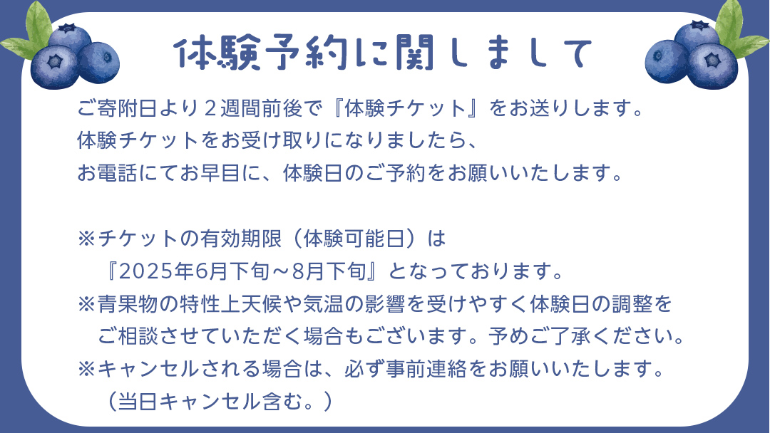 【寄附受付は2025年8月5日まで】 ブルーベリー狩り 体験チケット 《大人１名様プラン お土産付き》 ブルーベリー ベリー 食べ比べ 食べ放題 収穫 収穫体験 体験 チケット 招待券 レジャー 観光