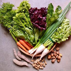 ◆全12回定期便◆【つくだ農園】《有機JAS認証 有機野菜10品入り》京都の棚田大原で心を込めて大切に露地栽培された大地の恵みたっぷりの有機野菜!［ 有機野菜 京都 野菜 有機栽培 定期便 セット 季