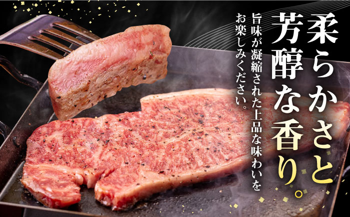 【全12回定期便】 壱岐牛 サーロインステーキ 500g（250g×2枚）《壱岐市》【株式会社イチヤマ】 肉 牛肉 サーロイン ステーキ 焼肉 BBQ [JFE042]