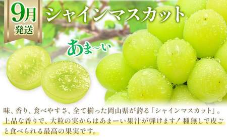 【2026年発送】【定期便】岡山のぶどう　3種食べ比べ 約700g以上×3回発送（令和8年8月中旬～10月中旬頃発送）【ぶどう】