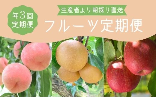 【ふるさと納税】No.2268フルーツ3品定期便 もも・なし・りんご各約2kg【2025年発送】