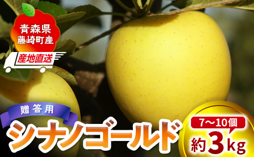 ＜産地直送＞ シナノゴールド 贈答用 約3kg （7～10個）りんご リンゴ 林檎 果物 フルーツ  F41-0080