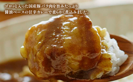 【 定期便 4回 】カレー 豚の角煮カレー 10個 セット ニシキヤ キッチン レトルト
