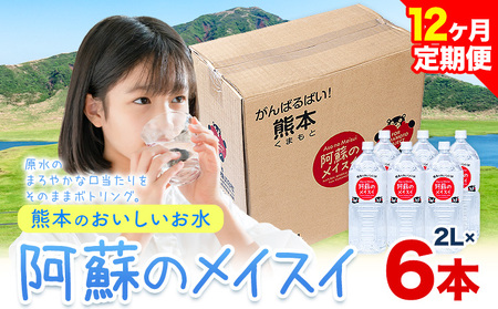 【12ヶ月定期便】水 熊本 の おいしい お水 阿蘇 メイスイ 天然水 2L × 6本 1ケース 丸富産業《お申込み月の翌月から出荷開始》熊本県 御船町 水 天然水 みず 熊本 飲料 熊本県 ミネラルウォーター