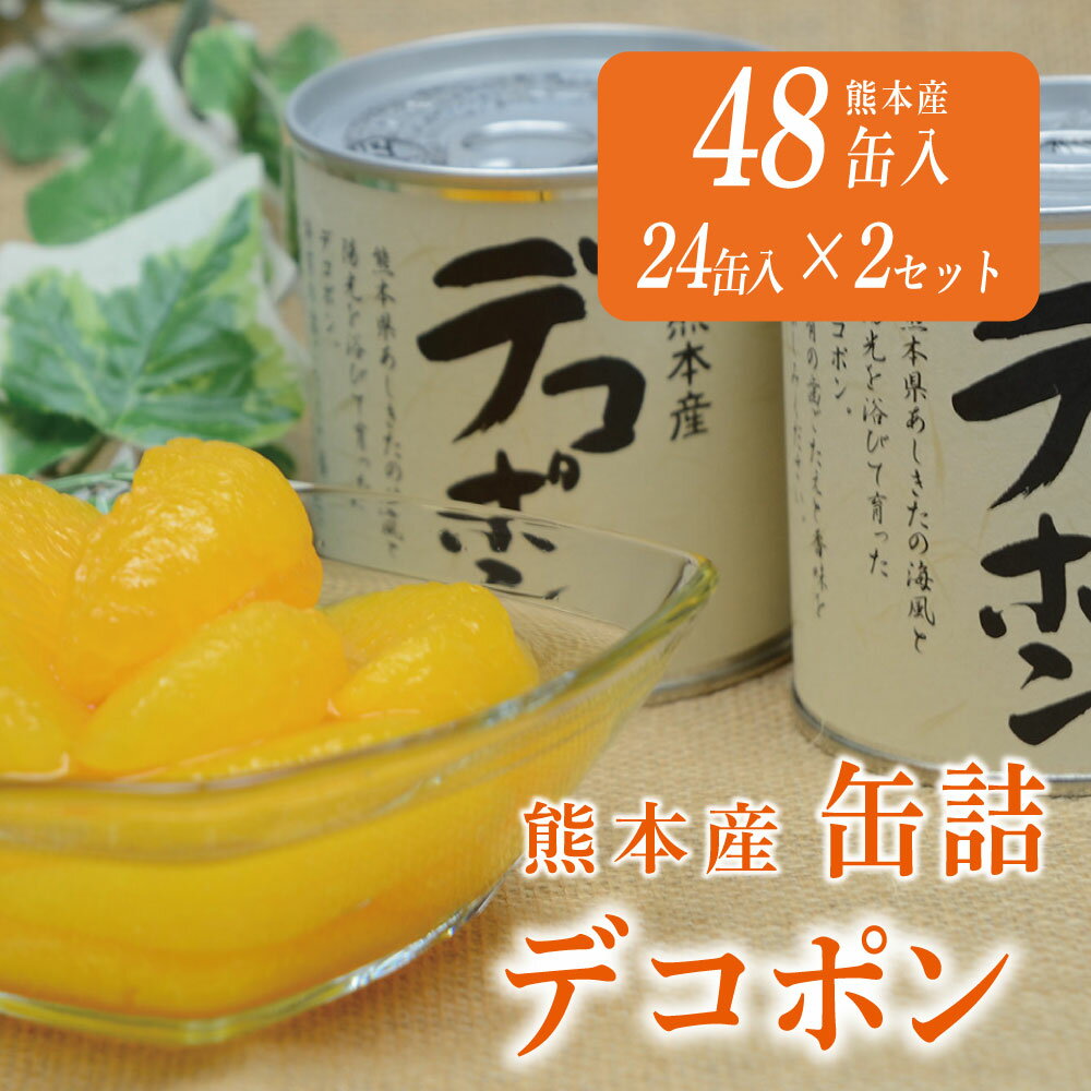 【ふるさと納税】缶詰 セット ギフト かんづめ デコポン みかん 保存食　デコポン缶詰（24缶）×2ケース