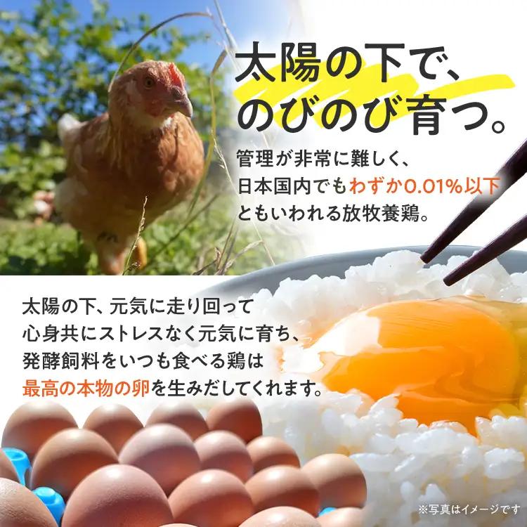 卵 放牧養鶏卵 20個 「破損補償2個含」 若のレボリューション 卵 ※北海道・沖縄・離島は配送不可
