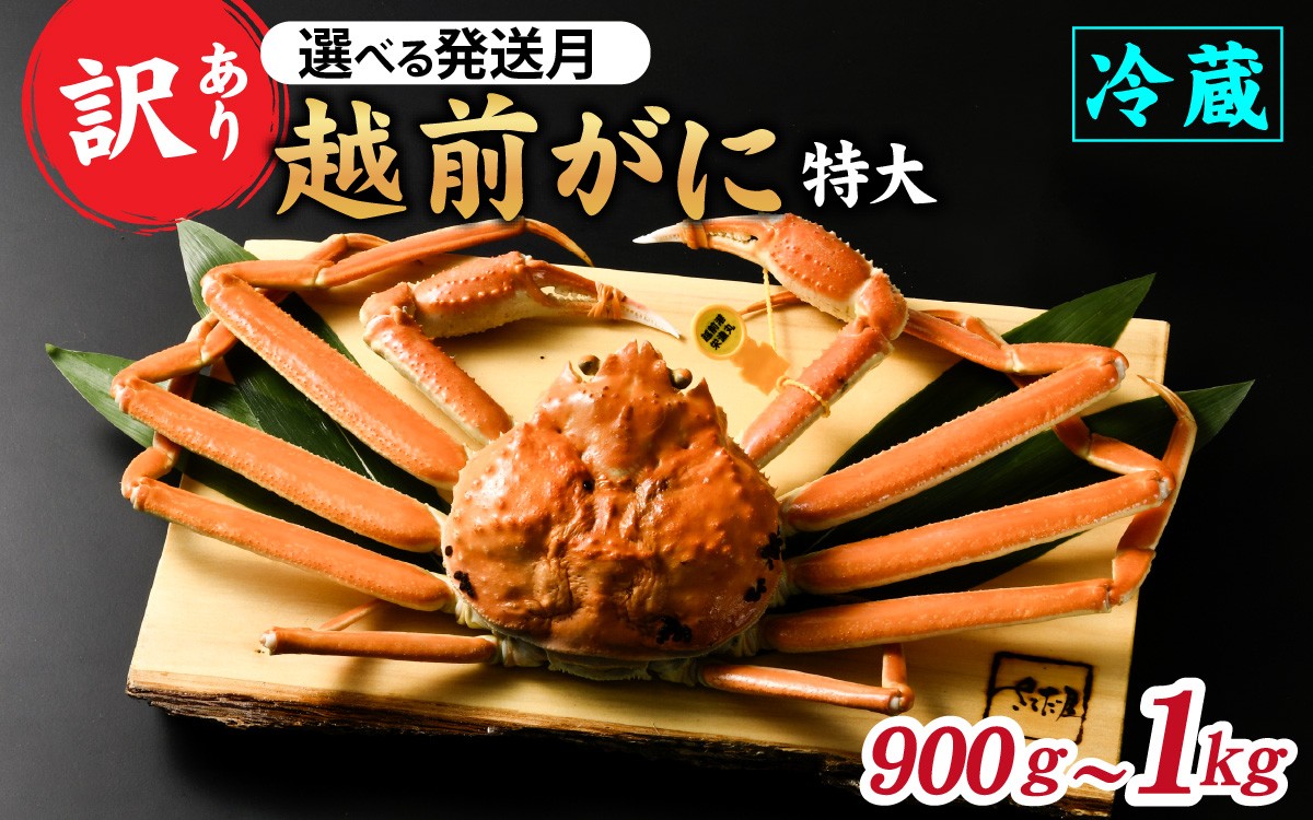 
                  【先行予約】【訳あり】朝茹で越前がに 900g〜1kg（足折れ）11月～3月発送「11月中旬より順次発送」[F-065041-oya]  / 福井県 福井 オス 雄 ズワイガニ ボイル 冷蔵 越前ガニ 越前がに 越前カニ ずわいがに ずわい蟹 かに カニ 蟹 茹で すがた 姿 わけあり 訳アリ
                
