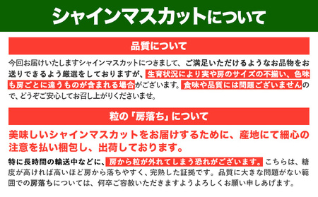 訳ありシャインマスカット プチシャインマスカット 約1kg(先行予約)《8月上旬-8月下旬頃出荷》シャインマスカットシャインマスカット
