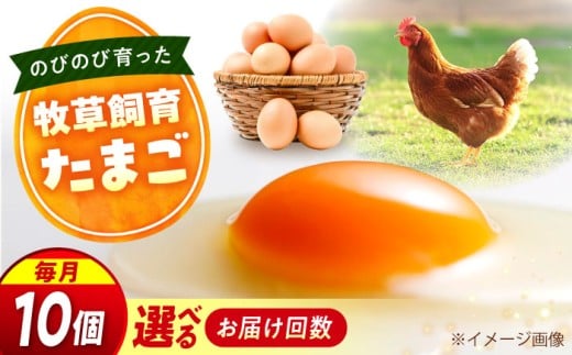 天心山 たまご 10個 【回数が選べる定期便】【全12回定期便】卵 たまご 高級 食品 たまごかけご飯 卵かけご飯 卵焼き 生卵 濃厚 ケーキ お菓子 づくり ランキング 上位 人気 おすすめ 定期便  ふるさと納税 20個 TKG 産地直送 新鮮 鶏卵 平飼い 広島 福山 アグリヒーロー 朝食 産直 送料無料 広島 福山 広島県福山市/天心山ファーム [BABW024]