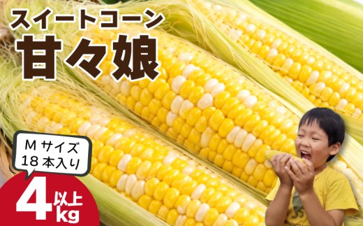 とうもろこし 甘々娘 4kg以上 Mサイズ 18本 《 2026年6月発送 》 スイートコーン かんかん娘 冷蔵 コーン 野菜 やさい 新鮮 サラダ 茹でとうもろこし 焼きもろこし 天ぷら スープ かんかんむすめ カンカン娘 BBQ 焼き肉 アウトドア キャンプ 特産品 産地直送 徳島県 吉野川市
