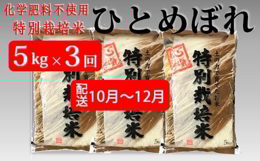 定期便3回【10月11月12月】エコファーマーのひとめぼれ5kg×3回