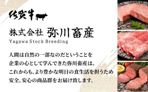 〈偶数月配送〉佐賀牛10万円定期便　総量1,930g【42yc-013】