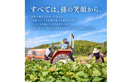 【 冬季 限定 】【 先行予約 】高知県産 熟成紅はるか 極蜜芋 5kg ｜ 紅はるか さつまいも 生芋 熟成芋 高知 焼き芋 やきいも おやつ 農家直送 産地直送 ギフト WADA FARM 高知県