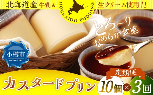 【3回定期便】 カスタードプリン 約900g （約90g×10個） （合計2.7kg） プリン ぷりん カスタード 洋菓子 菓子 お菓子 定期便 北海道 小樽市 冷凍