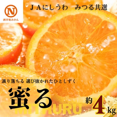 JAにしうわの季節の柑橘(みつる共選「蜜る」約4kg)【C08−48】【1443355】