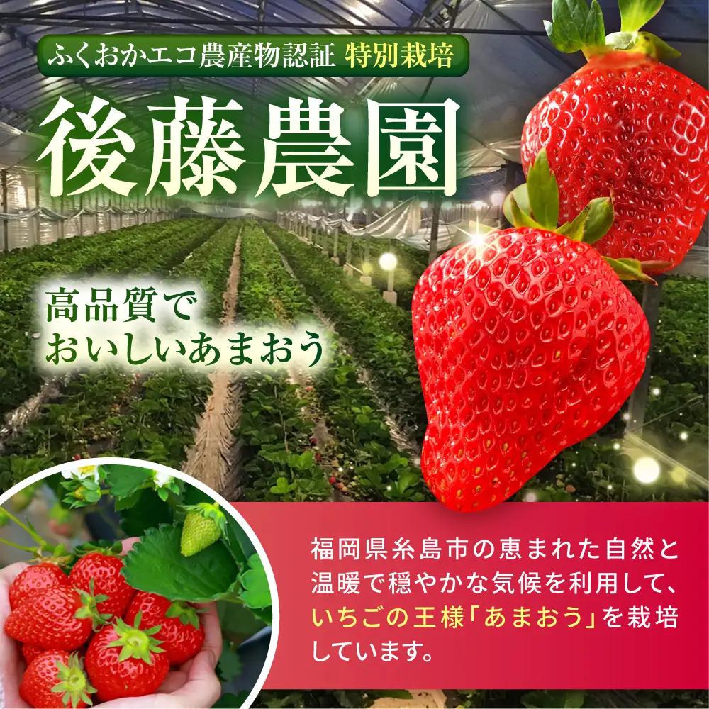 【農家直送！】【先行受付】糸島産 春 あまおう 280g × 4パック  (DXまたはGサイズ)   【2027年1月下旬以降順次発送】糸島市 / 後藤農園 [AML002] いちご 福岡