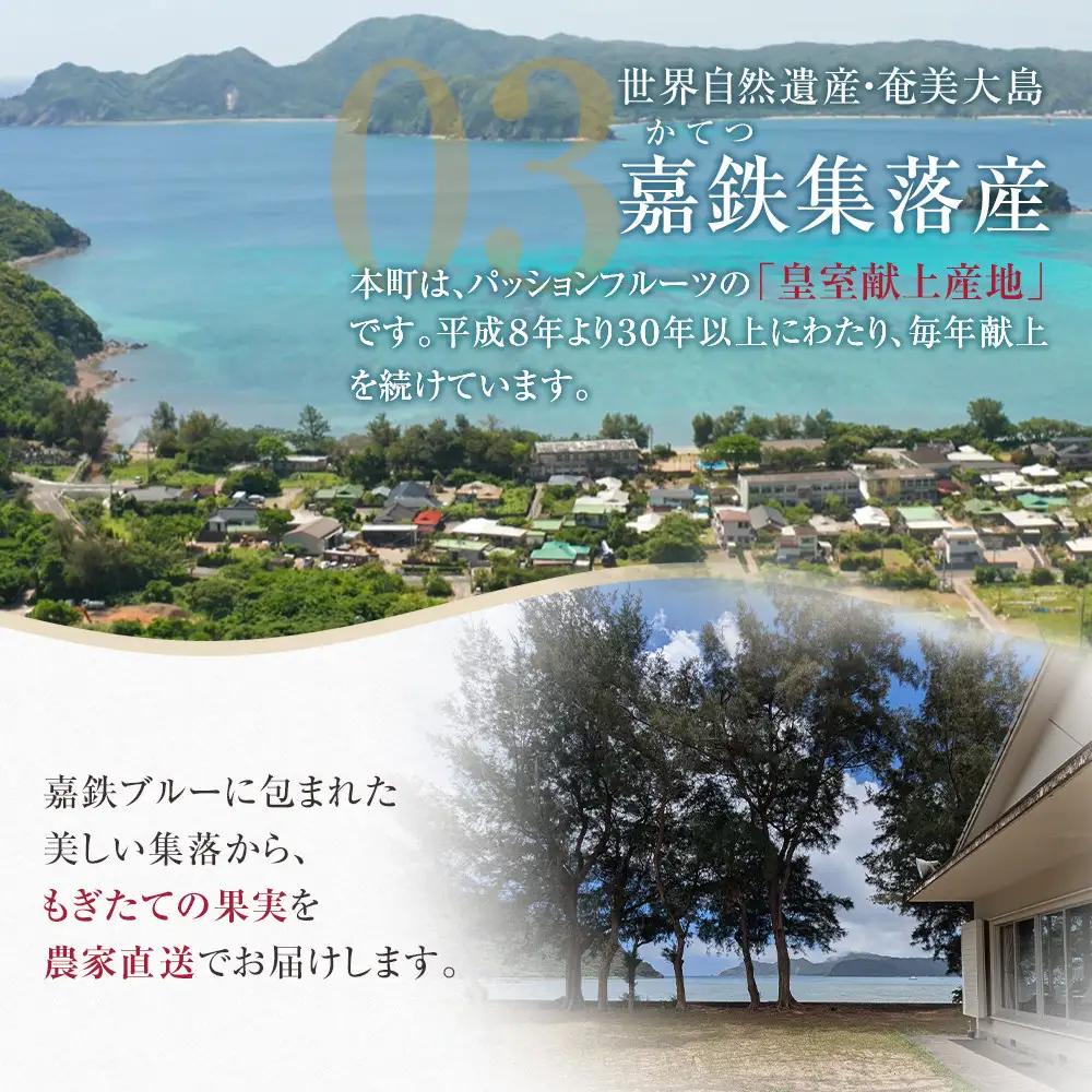 期間限定【農薬不使用】奄美大島 完熟パッションフルーツ約1kg（農家直送）｜食品微生物　バイオスティミュラント　土壌フローラの改善　点滴潅水　皇室献上　送料無料　国産　無農薬