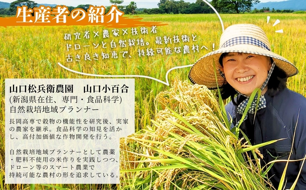 魚沼産ブランドの規定よりも贅沢で大粒をよりすぐり 山口松兵衛農園のコシヒカリ