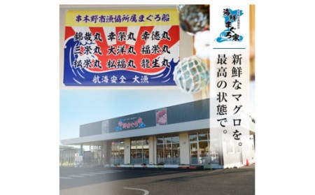 旬の天然本まぐろセット 上トロ・中トロ・赤身の本まぐろ尽くし約１㎏！約10人前の本まぐろをお楽しみください【E-054H】