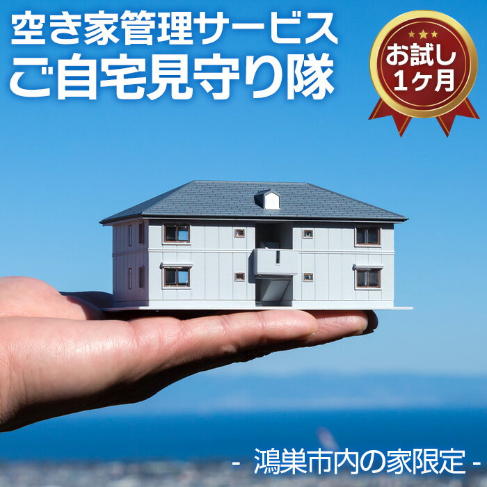 【ふるさと納税】空き家管理サービス「ご自宅見守り隊」お試し1ヶ月《鴻巣市内の家限定》［No.453］