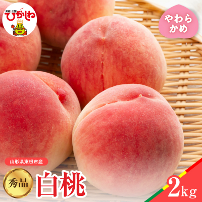 【2024年産　先行受付】白桃 品種おまかせ 秀品2kg(やわらかめ)