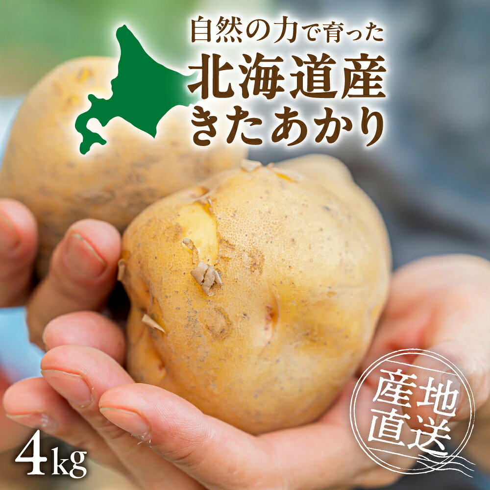【ふるさと納税】 じゃがいも きたあかり 約4kg キタアカリ ジャガイモ いも 芋 やさい 野菜 北海道 札幌市