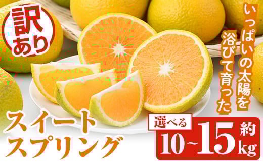 
            ＜先行予約受付中！2025年12月中旬以降順次発送予定＞＜内容量が選べる！＞訳ありスイートスプリング(約10～15kg) 鹿児島県 阿久根市 フルーツ 果物 デザート 柑橘 甘味 果肉 果汁【松永青果】
          