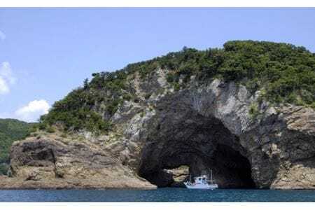 絶景千羽海崖を海から！うみがめマリンクルーズご招待4名様