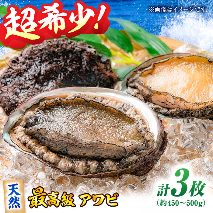 【ふるさと納税】天然 活き アワビ 3から4枚セット 瀬戸内海産 | 人気 おすすめ ランキング おいしい アワビ あわび 鮑 バター焼き 新鮮 魚介類大洲市/天然活魚 濱 屋[AGBP007] 40000 40000円 以上