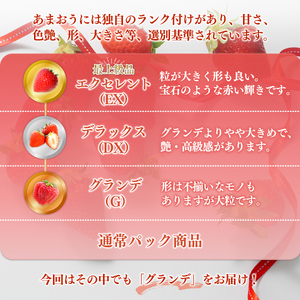 ＜先行予約受付中！2027年1月中旬～3月末に順次発送予定＞福岡県産 あまおう(計約1.5kg・250g×6P)いちご 苺 フルーツ 果物 くだもの 冷蔵 ＜離島配送不可＞【ksg1806】【エフビー