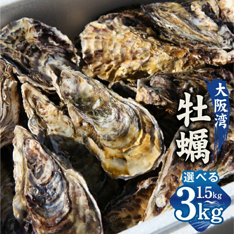 【ふるさと納税】【先行予約】 大阪湾牡蠣 1.5kg / 3kg 牡蠣 殻付き牡蠣 殻付き 加熱用 大阪湾 養殖 急速冷凍 鮮度抜群 身づまりが良い 蒸し牡蠣 カキフライ 牡蠣ご飯 お取り寄せ お取り寄せグルメ プリプリ ジューシー 食品 魚介類 海鮮 冷凍 大阪府 泉佐野市 送料無料