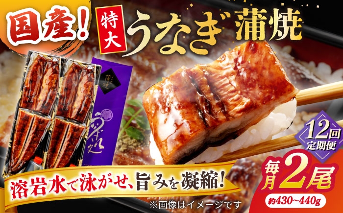 
                  【12回定期便】うなぎ老舗専門店のパリっとふっくら国産うなぎ 蒲焼2尾(蒲焼のタレ付き) 島根県松江市/株式会社山美世商会 [ALDC015]｜国産 うなぎ ウナギ 鰻 特大 蒲焼き 蒲焼 国産 冷蔵 うな重 定期便 
                