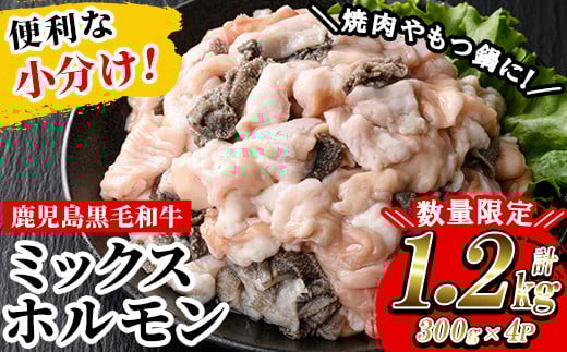 
            ＜数量・期間限定＞鹿児島県産 黒毛和牛 ミックスホルモン 1,200g(300g×４P)冷凍 小分け 国産 鹿児島県産 黒毛和牛 モツ もつ鍋 焼肉 ホルモンミックス お取り寄せ 冷凍 生冷凍 【L-004H】
          
