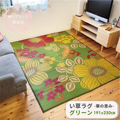 ふるさと納税 柳川市 い草 ラグ 華の恵みふっくら仕上げ《グリーン》　191cm×250cm