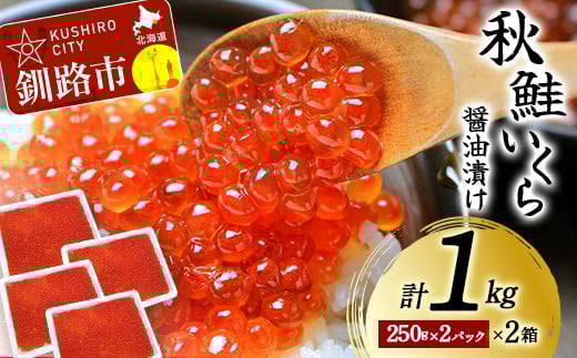 通常発送 北海道産秋鮭いくら醤油漬け 1kg (250g×2P×2箱) 秋鮭 北海道 いくら イクラ 魚卵 魚介類 海鮮 小分け F4F-6144