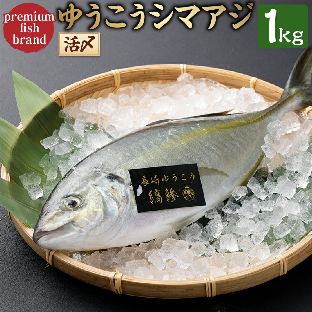 【ふるさと納税】【14営業日以内発送】premiumfishbrand ゆうこうシマアジ (活〆) ×1尾 (約1kg) シマアジ しまあじ 鯵 アジ あじ ゆうこう ブランド魚 魚 さかな 海鮮 魚介類 海の幸 柑橘 九州 長崎県 長崎市 冷蔵 送料無料