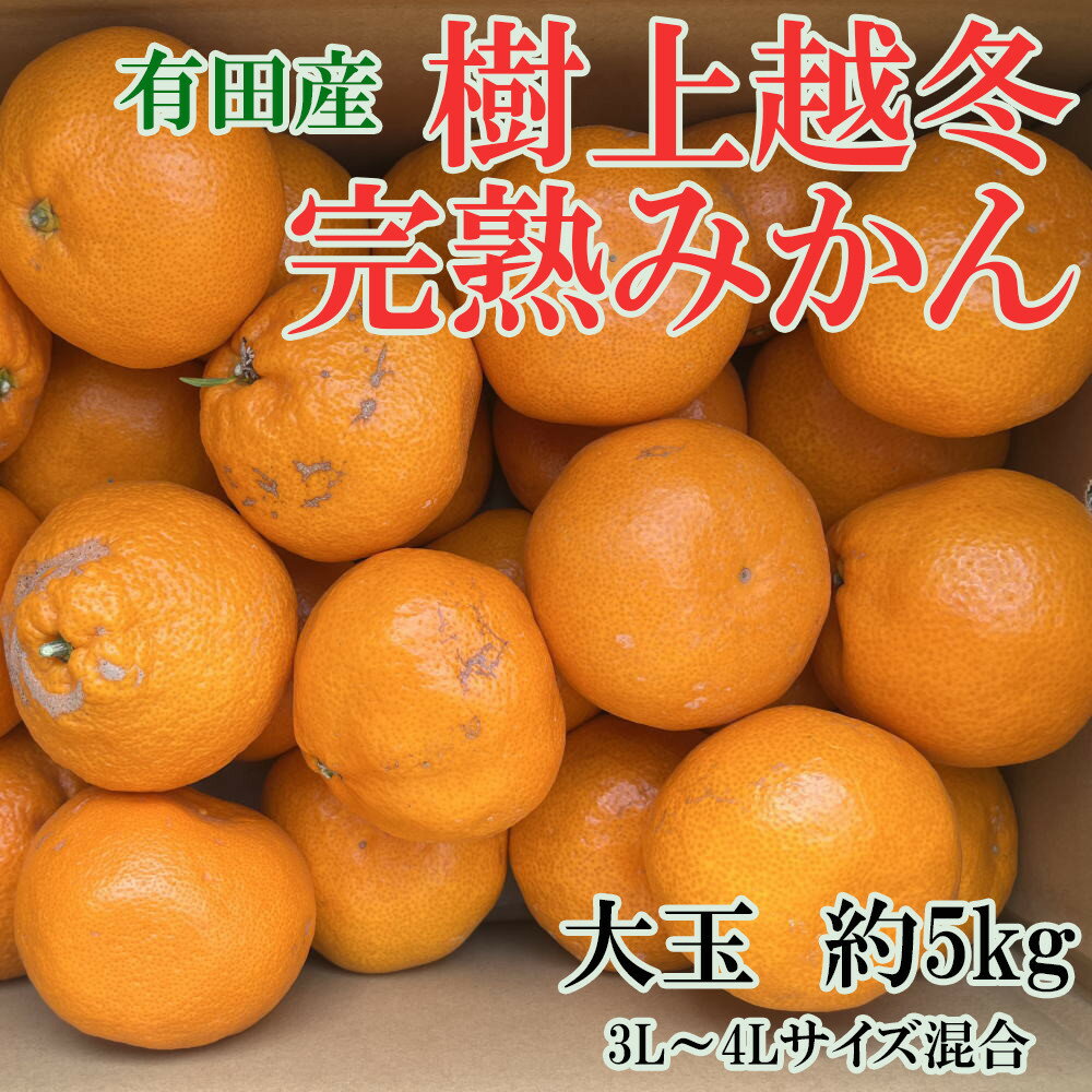 【ふるさと納税】[先行予約]［濃厚・まろやか］有田産樹上越冬完熟みかん大玉約5kg（3L・4Lサイズ・秀優混合品）★2027年1月下旬頃より順次発送 | みかん 柑橘 フルーツ 果物 くだもの 食品 人気 おすすめ 送料無料