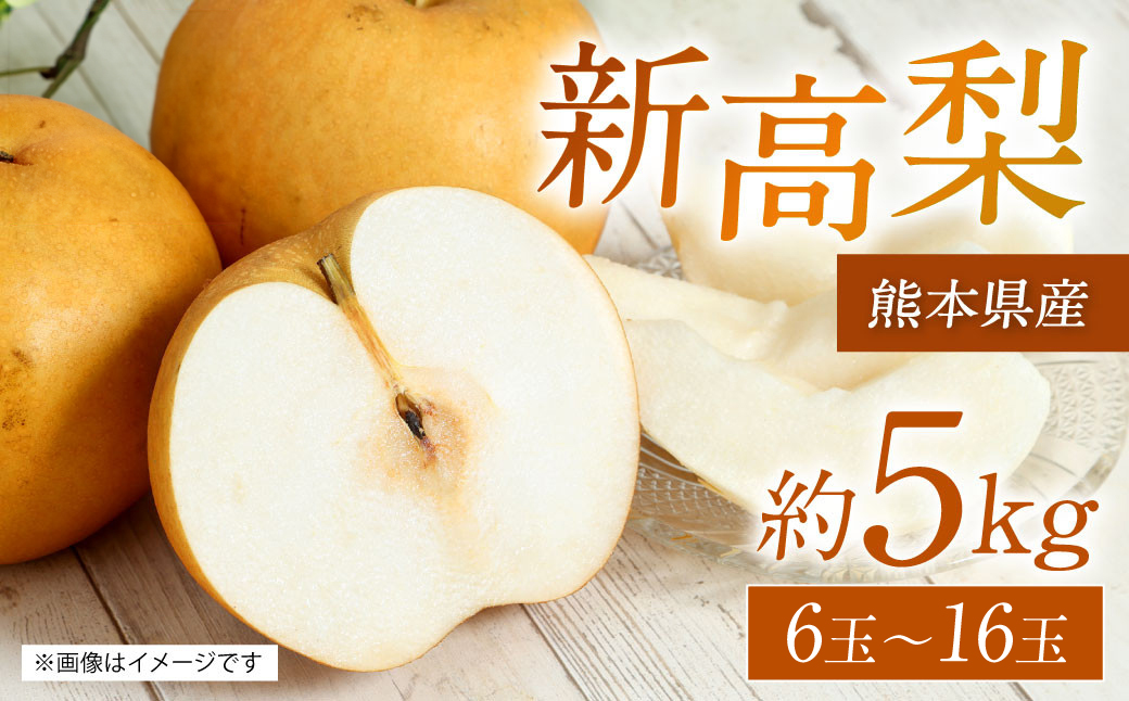 【先行予約】 熊本県産 新高梨 サイズミックス 約5kg 6玉～16玉 【2025年9月上旬より順次発送】