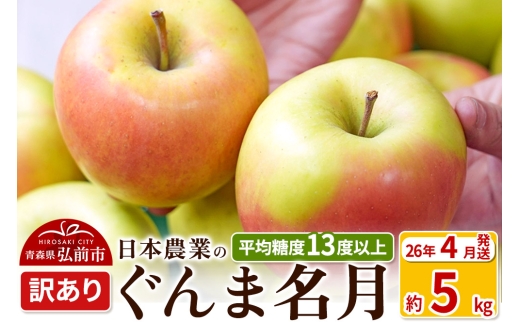 【26年4月発送】りんご 平均糖度13度以上！ ぐんま名月 約5kg 訳あり CA貯蔵 クール便 青森 果物 フルーツ 林檎 リンゴ くだもの 不揃い 規格外