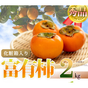 【2025年11月発送】和歌山秋の味覚　富有柿　約2kg　化粧箱入【日高町】【1217242】
